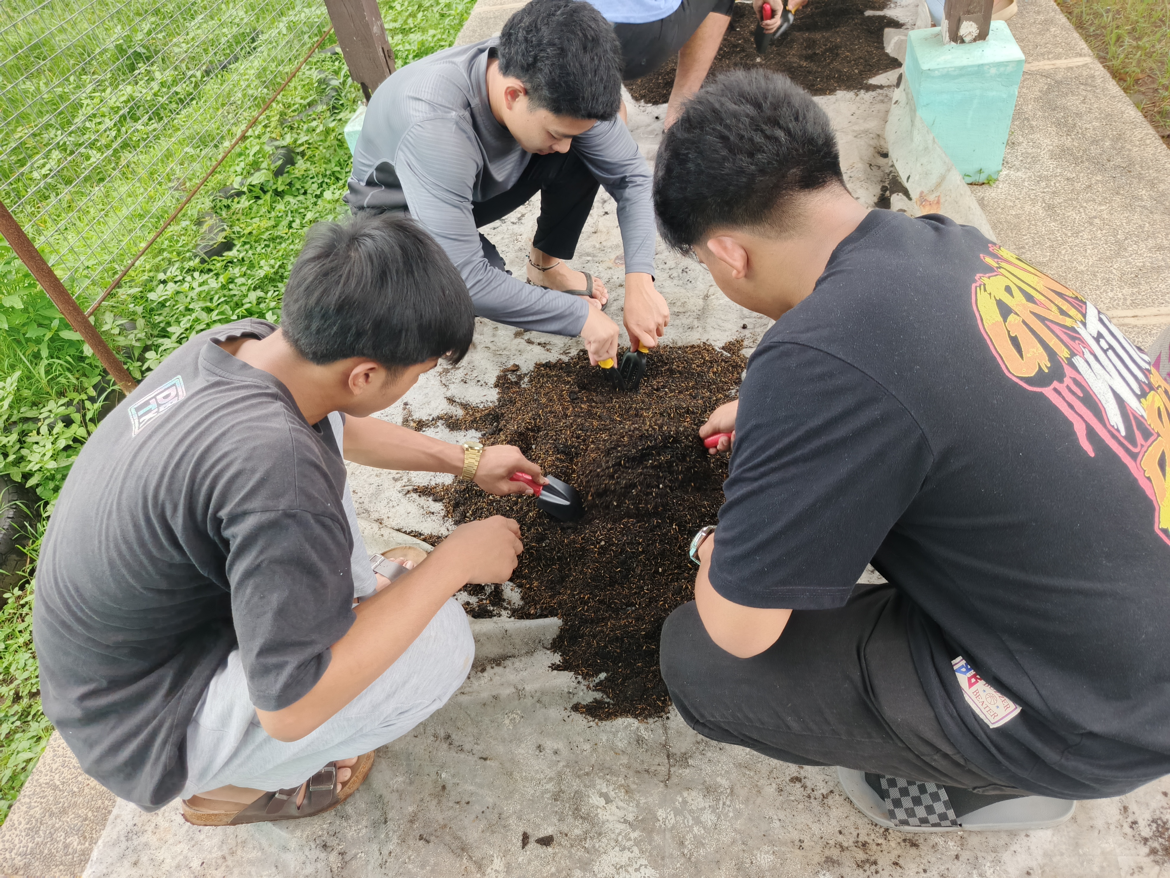 Agricultural Crops Production